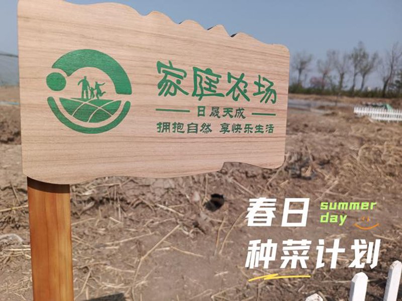 草莓采摘选购指南：初尝春日甜味