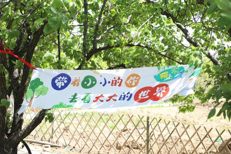 寻找城市绿洲：大连家庭农场选购指南